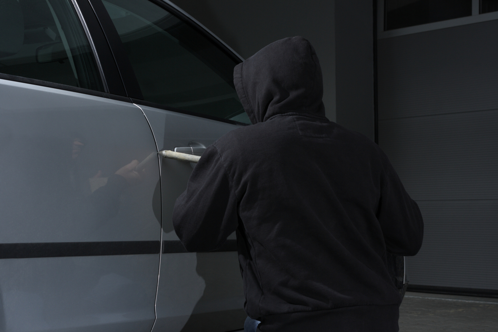 Allarme perimetrale giardino, come proteggere la casa e il garage